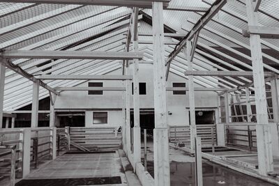 Zauner Marcel_Gilgenberg (12) (2)