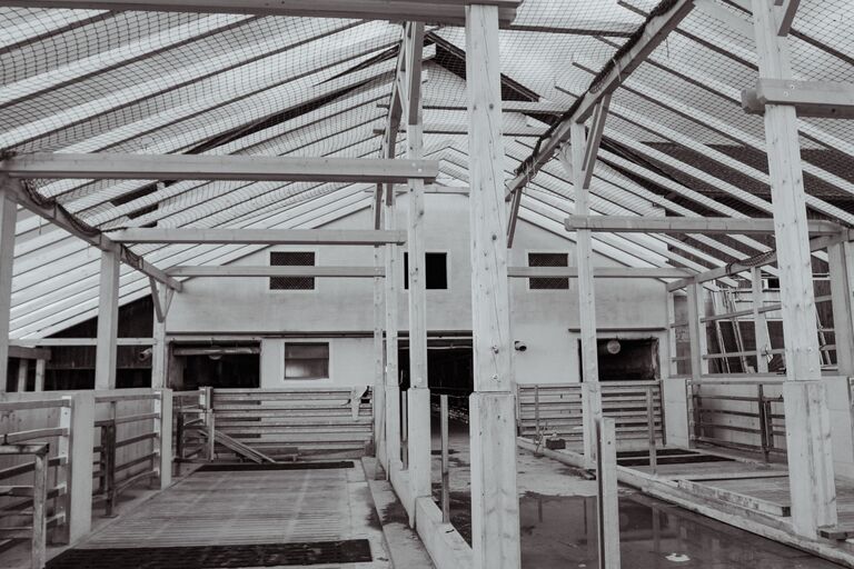 Zauner Marcel_Gilgenberg (12) (2)