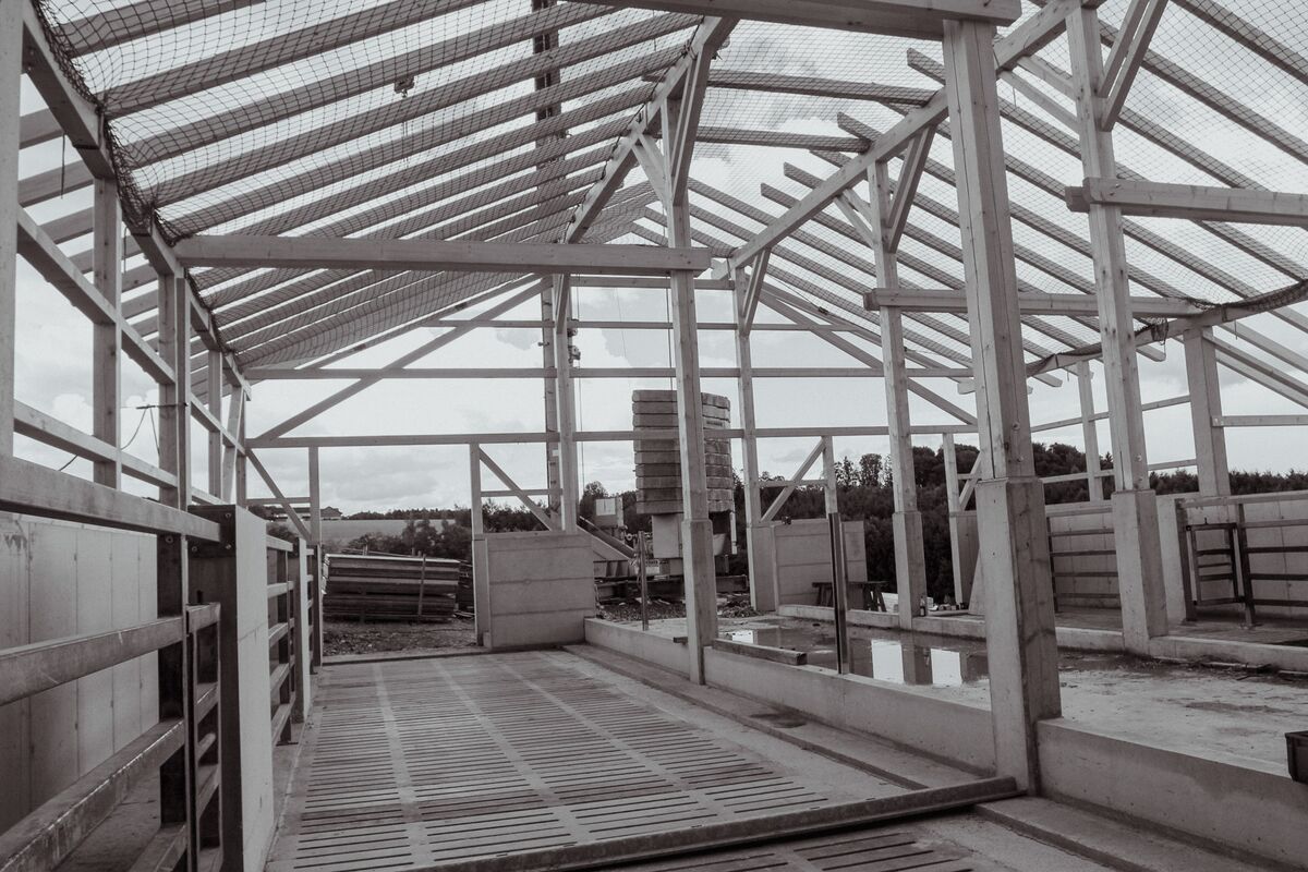 Zauner Marcel_Gilgenberg (5) (3)